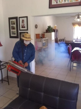 Ahora el dengue ataca despiadado en Nayarit, pero se combate