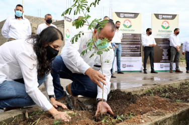 De 100 &aacute;rboles plantados crecen 30, no le hace; se har&aacute;n ciudades verdes