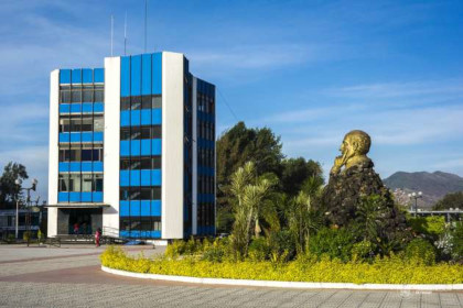 El corporativismo universitario