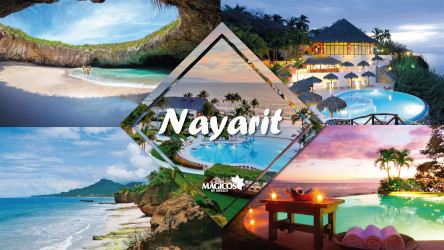 Antroponotas de Nayarit