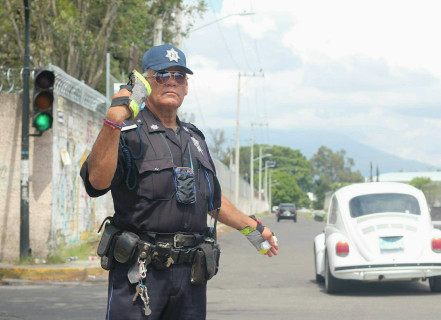 Nayaritas del centenario