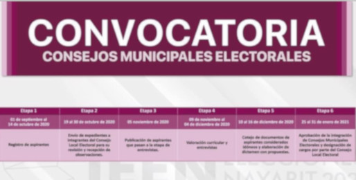 Invitan a formar parte de Consejos Municipales Electorales