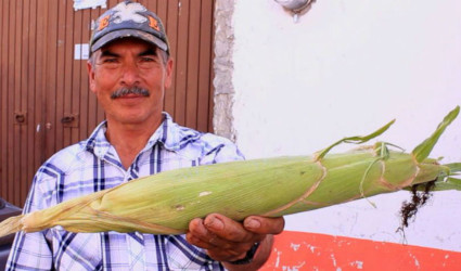 Ma&iacute;z de Jala, Patrimonio Material y Cultural 