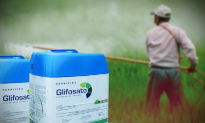Monsanto trata de presionar al gobierno mexicano