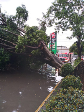 La tormenta tropical &ldquo;Dolores&rdquo; pudiera llegar a nuestro estado este  domingo