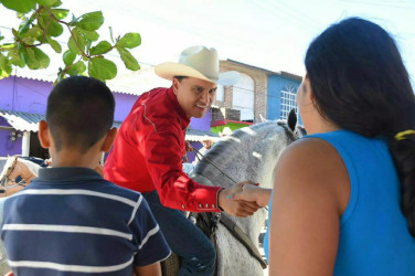 Las vacas y bueyes de Roberto Sandoval