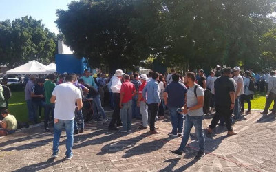 Carreras profesionales saturadas