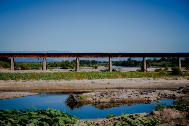 Trabaja Poder Legislativo en conservaci&oacute;n y rescate de humedales 