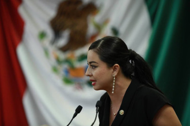 No m&aacute;s agresores en el poder: Congreso de Nayarit 