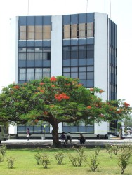 DI&Aacute;LOGOS DE SORDOS, S&Iacute;NTOMA DE AUTORITARISMO &nbsp;<br />Salvador Mancillas 