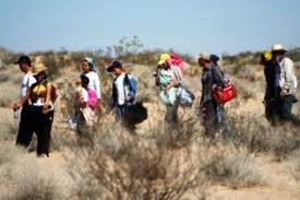 DE C&Oacute;MO LOS POLLEROS SE HICIERON CRIMINALES<br />Jos&eacute; Enrique Gonz&aacute;lez Ruiz