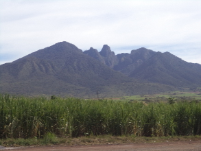 Nos queda el 39 constitucional