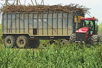 Ca&ntilde;eros de Nayarit en la quiebra 