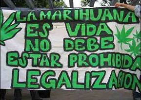 Controvertida la despenalizaci&oacute;n de la marihuana