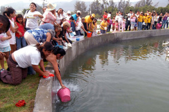 Contin&uacute;a la crisis en los ayuntamientos de Nayarit