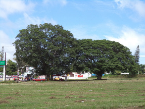 Urge la izquierda en M&eacute;xico