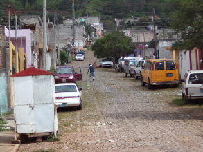 Eficaz combate al dengue