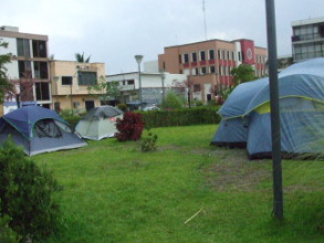 Zancudos terroristas