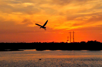 El capitalismo domin&oacute; al socialismo
