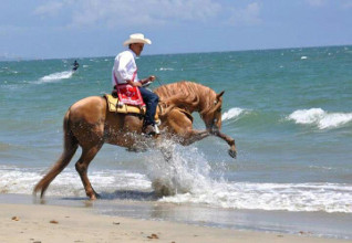 Lo que esperamos del segundo informe