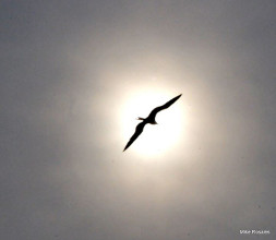 La calidad educativa de la televisi&oacute;n mexicana