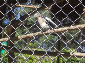 Hacia una federaci&oacute;n de izquierda 