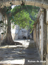 Transversalidad, educaci&oacute;n y cultura...