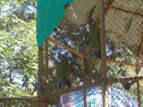 Amplia alianza, sin el PAN