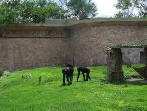 Partidos pol&iacute;ticos procapitalistas