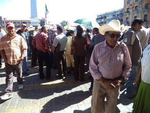 Se desesperan los ca&ntilde;eros