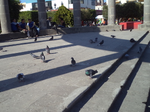 Autodefensas, revoluci&oacute;n nacional