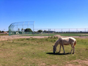 Sandoval no se cansa de verle la cara al pueblo