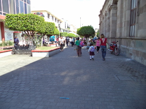 Nuevos reglamentos municipales 