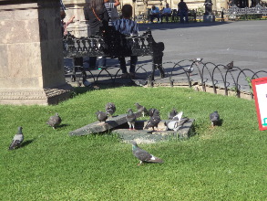 La lucha entre reformistas 