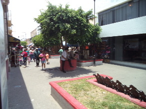 No entienden al pa&iacute;s