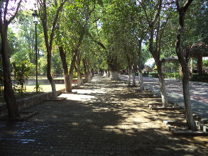 Por cu&aacute;l cambio