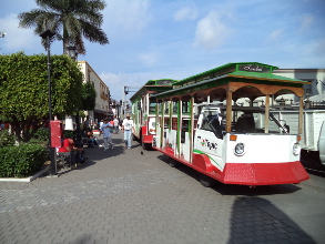 El orden social BRICS