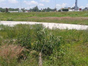 Parque de la Dignidad, iniciativa ciudadana en Tepic