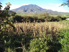 La amenaza de las fusiones y adquisiciones
