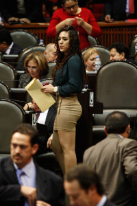 &iquest;Qu&eacute; es un diputado?