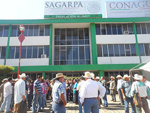 Regatea burocracia m&iacute;sero apoyo presidencial a ca&ntilde;eros nayaritas