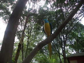 M&eacute;xico con rezago lecto-matem&aacute;tico