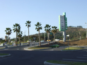 Partidos electoreros procapitalistas