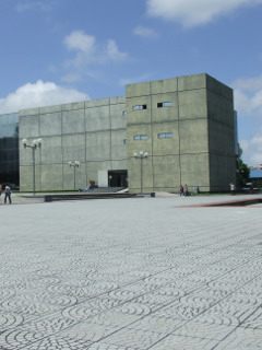 La lucha por el SPAUAN