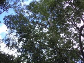 La disputa por el dominio militar global