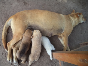 Hambruna en M&eacute;xico en el 2016