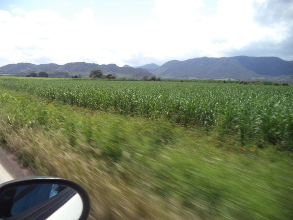 La justicia ejidal y bienestar comunitario