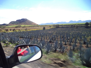 Urge atenci&oacute;n al campo