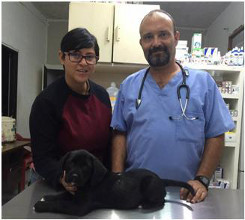 El mejor veterinario