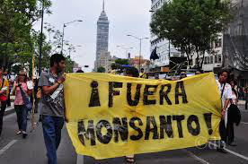 Monsanto, empresa de muerte 